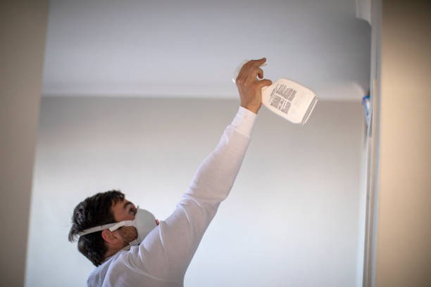 Best Commercial Mold Removal  in Harlan, KY