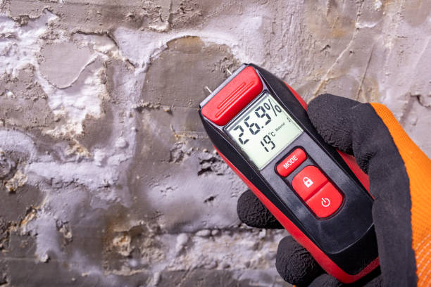 Mold Testing and Removal in Harlan, KY