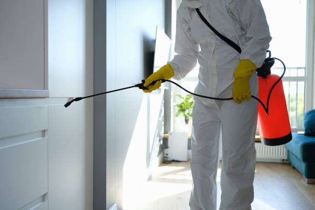 Best Mold Testing  in Harlan, KY